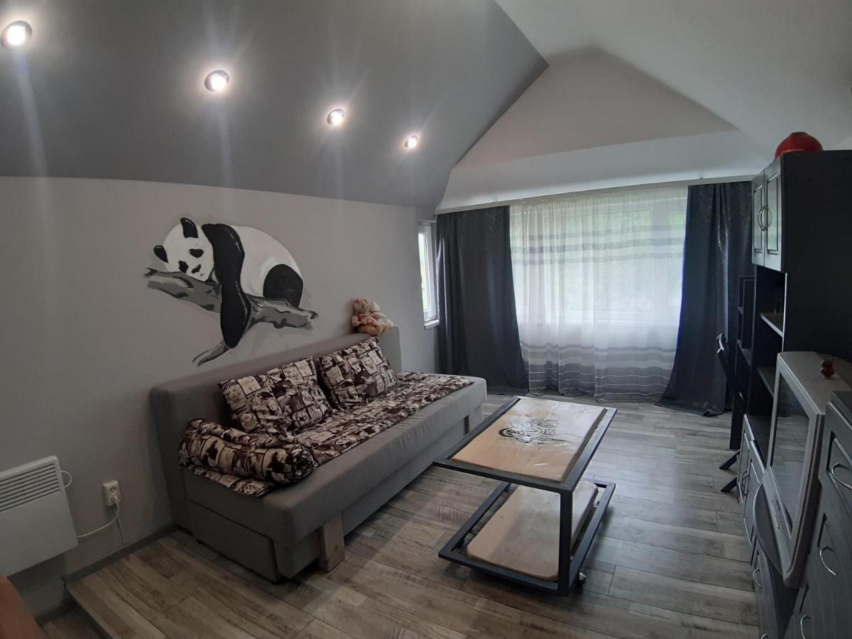 Appartement Barlig à Yaremtche Extérieur photo